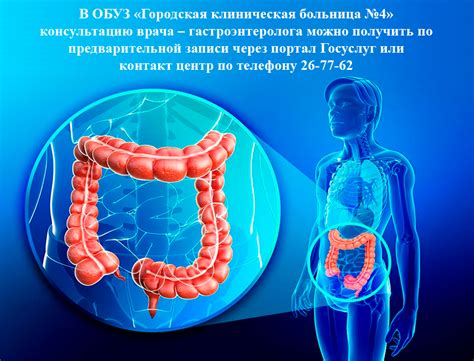 Как обеспечивается защита толстого кишечника