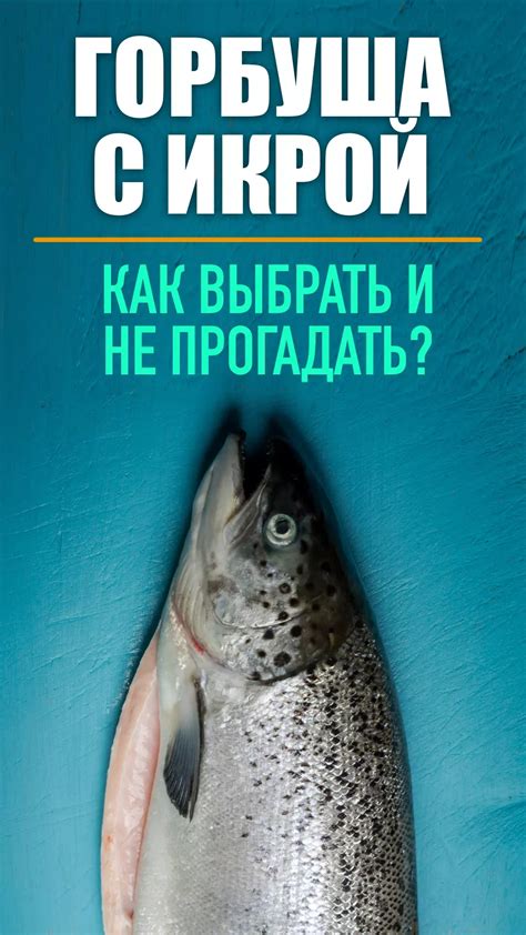 Как обращаться с икрой данио после нереста: полезные советы и рекомендации