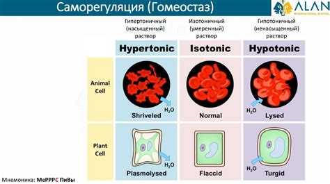 Как определить неправильно сделанный жгут: семь основных признаков