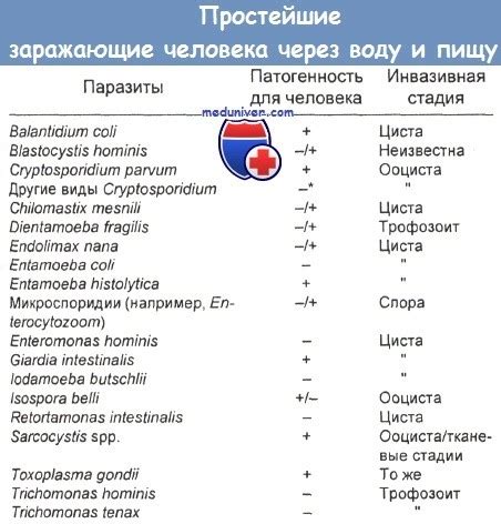 Как определить отравление через пищу?