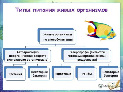 Как определить тип питания слушателя дизайна?