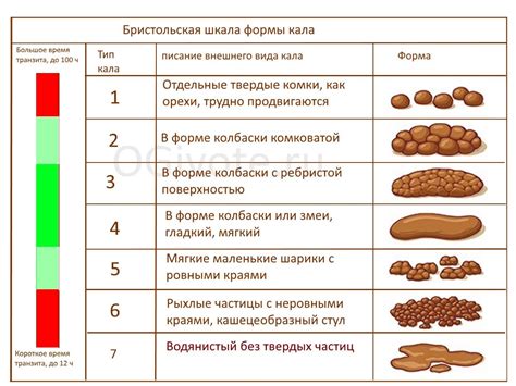 Как определить уровень пируваткиназы в кале и почему это важно для женщин?