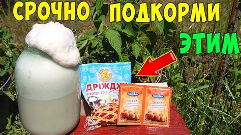 Как отличить дрожжи от бражки