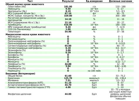 Как оценить результаты анализа креатинина у собаки?