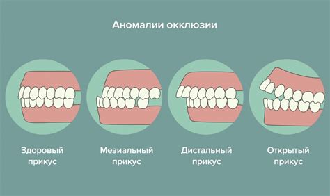 Как понять, что "Tp by" является оригинальным и правильным?