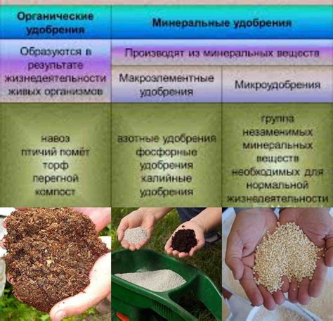 Как правильно выполнять обработку почвы органическими удобрениями