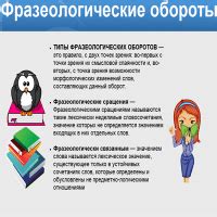 Как правильно использовать фразеологические обороты