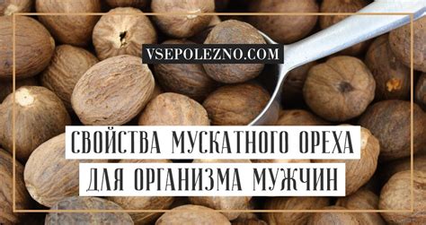 Как правильно употреблять мускатный орех для получения пользы