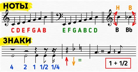 Как правильно читать ноты?
