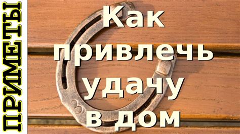 Как привлечь удачу, если перышко залетело в ваш дом?