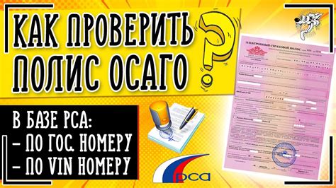 Как проверить, что полис ОСАГО актуален после смены водительских прав?