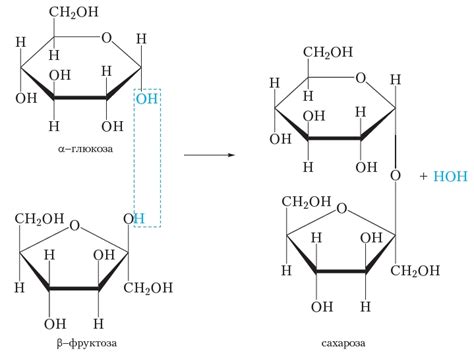 Как происходит образование глюкозы из сахарозы?