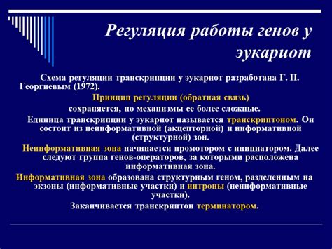 Как происходит регуляция генов в биологии 10 класс