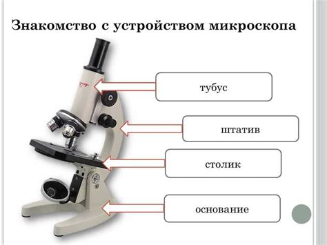 Как работает световой микроскоп