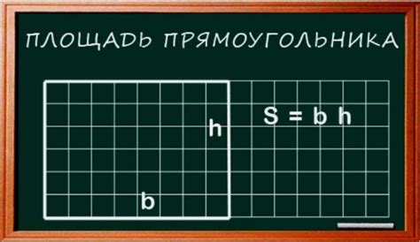 Как рассчитать площадь прямоугольника: примеры