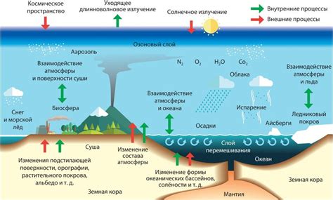 Как температура воды влияет на газообмен