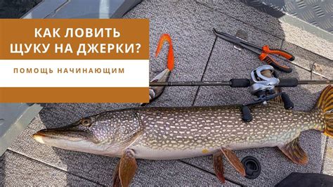 Как успешно ловить щуку на спиннинг?