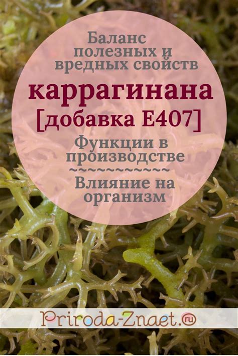 Каррагинан как стабилизатор для сливок: необходимость