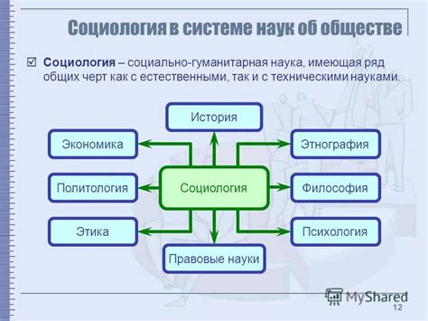 Карьера и образование в области социологии