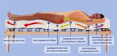 Качественный матрас: основа для сна при грыже позвоночника