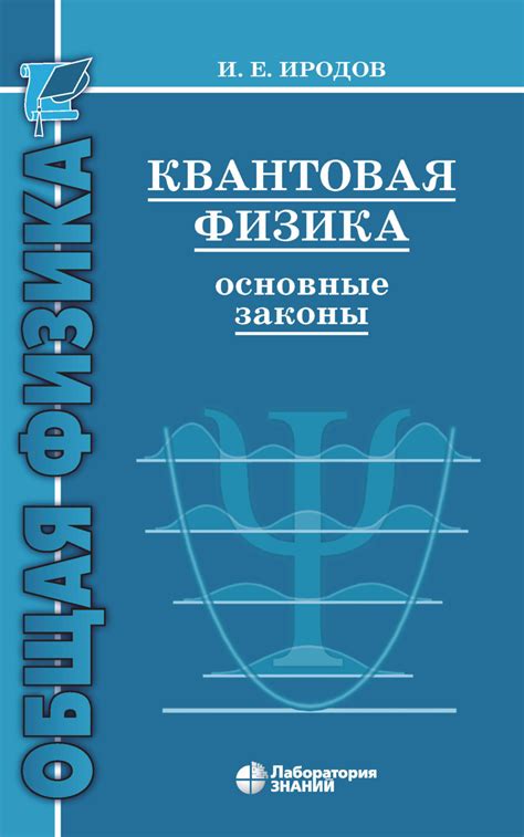 Квантовая физика: основные понятия и принципы