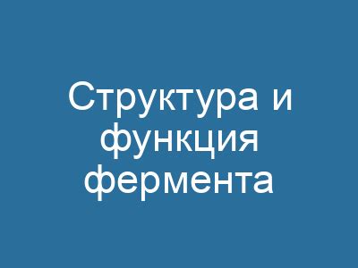 Кватернарная структура