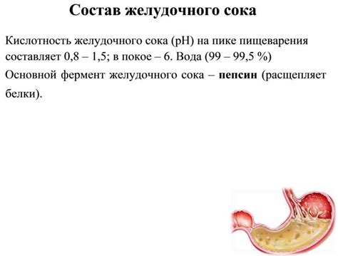 Кислотность желудочного сока: ключевой фактор пищеварения