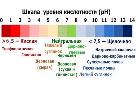 Кислотность организма: на виду