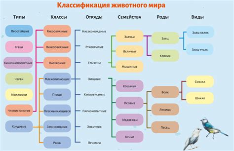 Классификация амф в биологии 9 класса