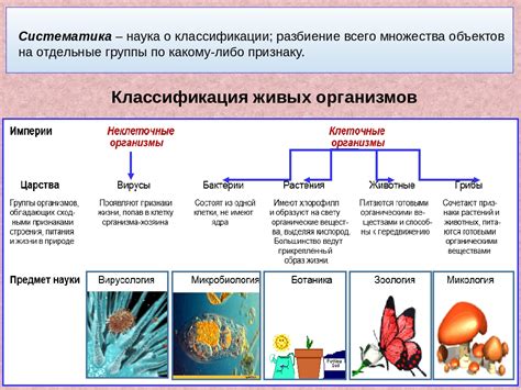 Классификация живых организмов: один из ключевых факторов