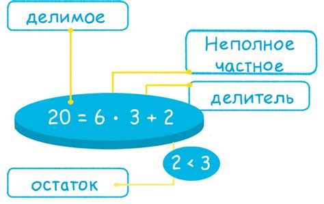 Классификация структуры деления