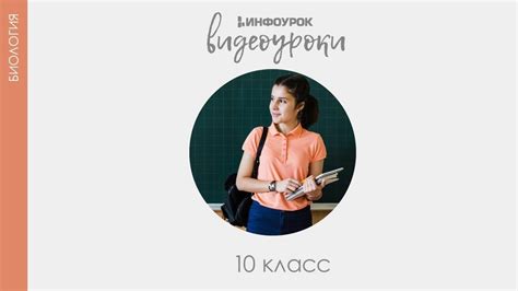 Класс инфоурок