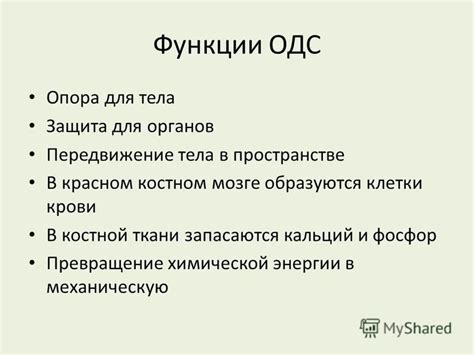 Клетки ОДС