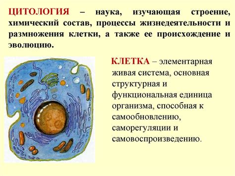 Клеточный состав воспаления цитология