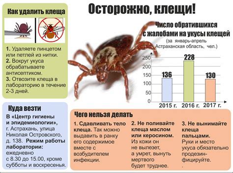 Клещевой энцефалит: причины и источники