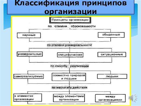 Ключевые принципы рациональной организации власти