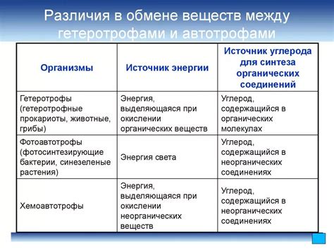 Ключевые различия между основным и сопутствующим диагнозом: