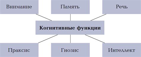 Когнитивные способности, связанные с правой стороной головного мозга