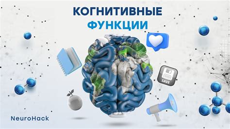 Когнитивные функции и физическая нагрузка