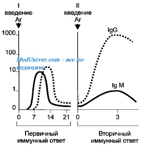 Колострум и выработка антител