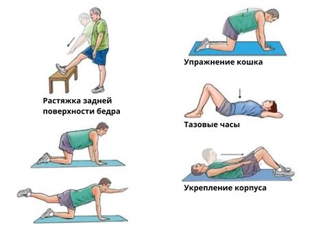 Комплекс упражнений для укрепления пояснично-крестцового отдела позвоночника