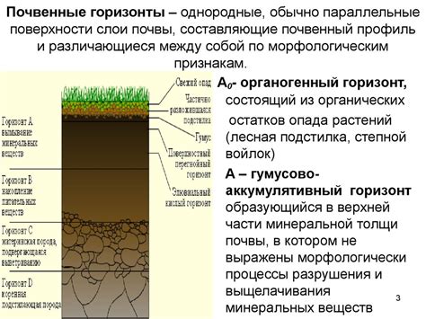 Компоненты почвы и их влияние