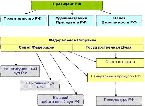 Конституционные органы