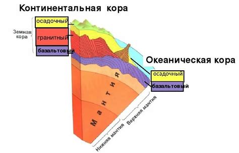 Континентальная кора: основные компоненты и свойства