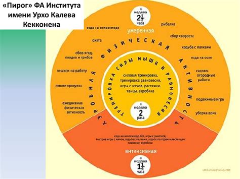 Концепция двигательной активности в разных культурах