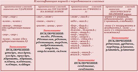 Корни слов и их связь с радикалом