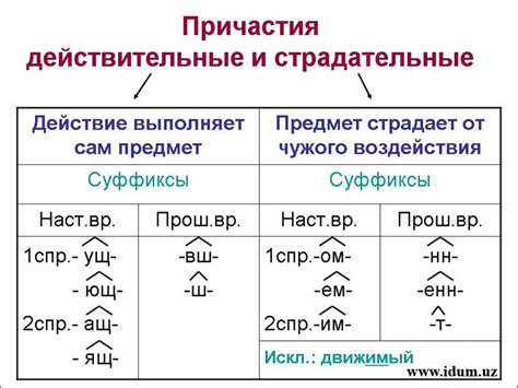 Краткие и полные страдательные причастия: что они означают?