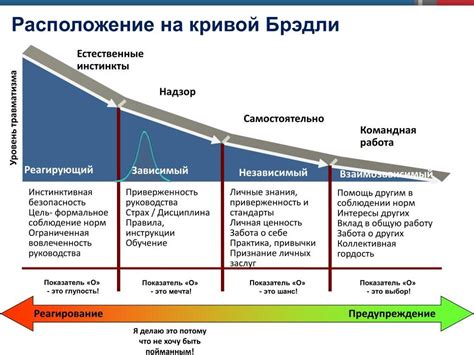 Кривая Брэдли в охране труда