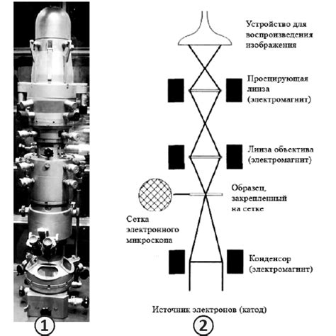 Криогенная электронная микроскопия