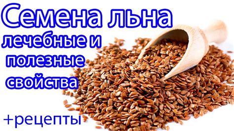 Кукушкиное льно и его уникальные свойства